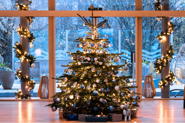 [Translate to Anglais:] 